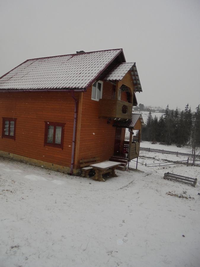 Villa Lisovychok Worochta Exterior foto