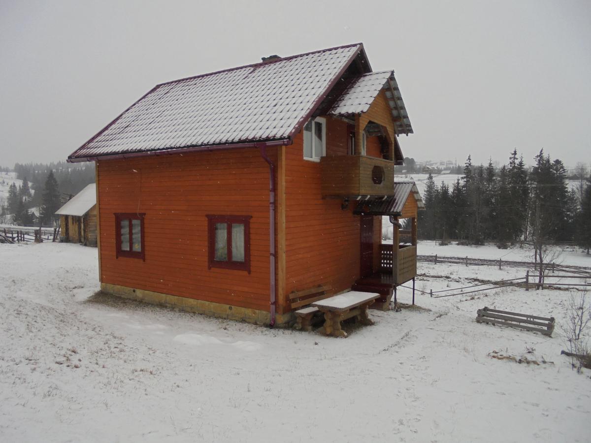Villa Lisovychok Worochta Exterior foto